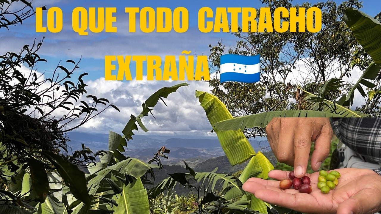 ¡Acompáñanos en una aventura por la tierra del café en Honduras! 🌿☕ #TierraDelCafé #MontañasHonduras