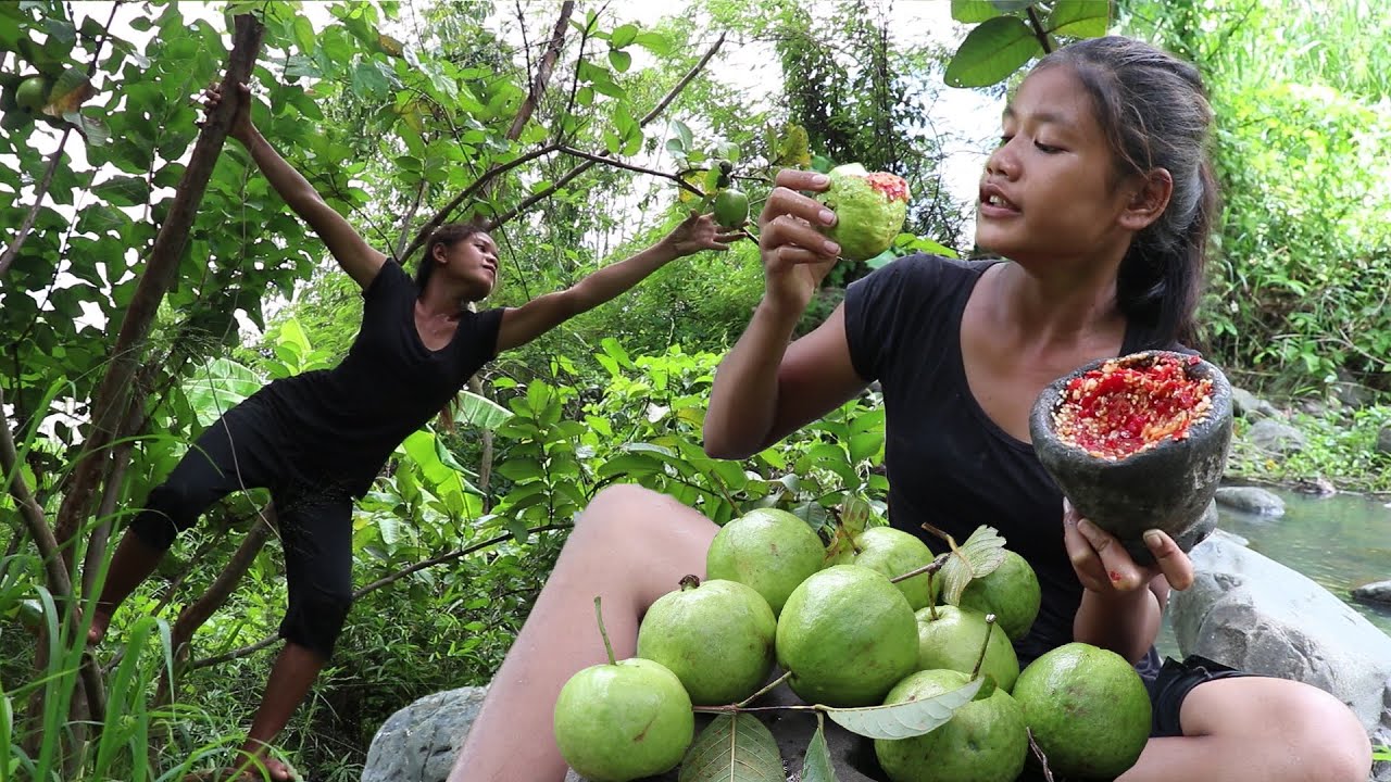 Mouth Watering Food: Guava nature with Hot salt chili for Survival in the forest - Eating food