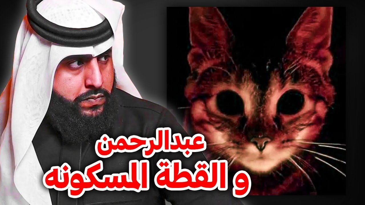 عبدالرحمن و القطه المسكونه  قصة غريبة | THE HUNTED CAT