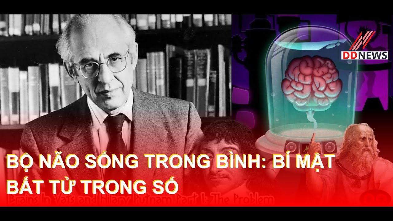 Bộ não sống trong bình: Bí mật bất tử trong số | DDN tổng hợp