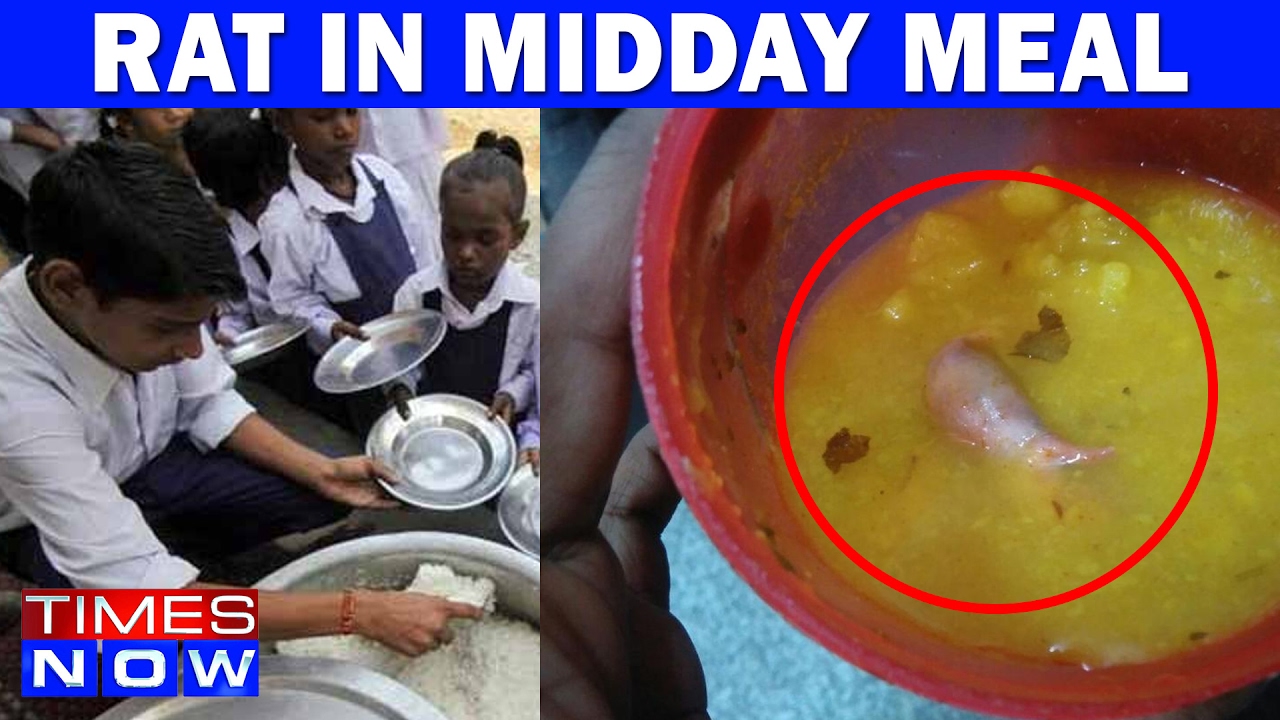 'Dead Rat' In Midday Meal At Delhi School Leaves 9 Students Ill