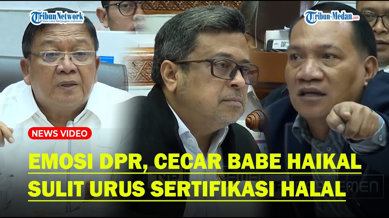 EMOSI DPR! Tunjuk-tunjuk Hingga Cecar Babe Haikal Singgung Sulit Urus Sertifikat Halal
