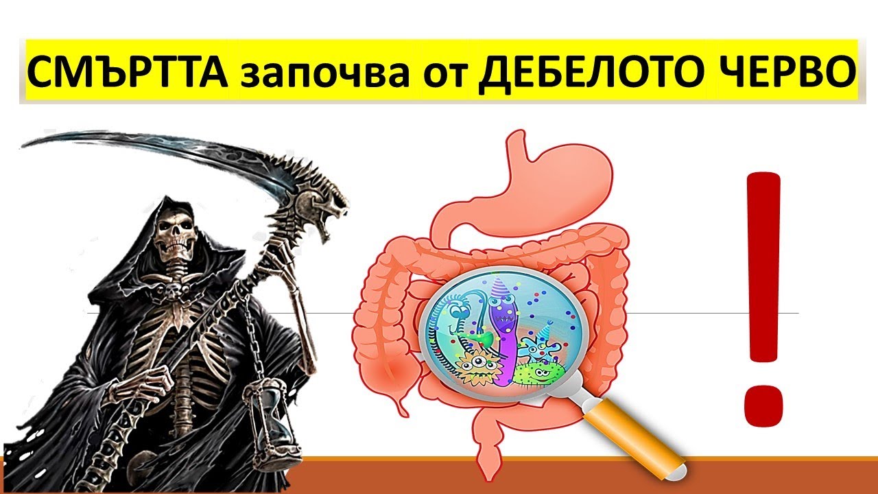 Смъртта започва от дебелото черво (част 1-ва)