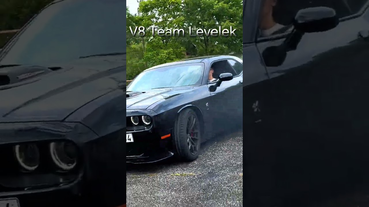V8 Team - Leveleki nyár.