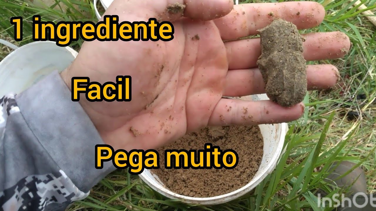 Massa para tilápia escolha a ração certa