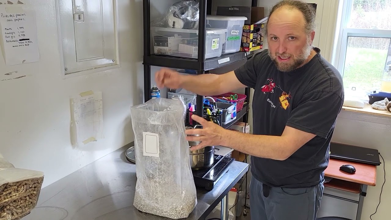 comment pasteuriser le substrat optimal pour la culture de champignons lignicoles