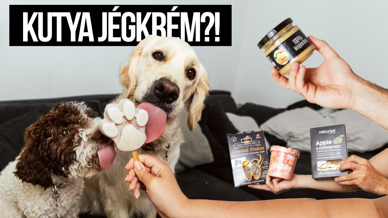 Nyári HŰSÍTÓ KUTYA SNACKEKET csináltunk!