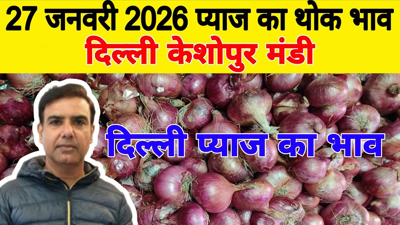 दिल्ली केशोपुर मंडी | 🧅Today onion rates | Today Onion price | Piyaj | 27 Jan 2026 