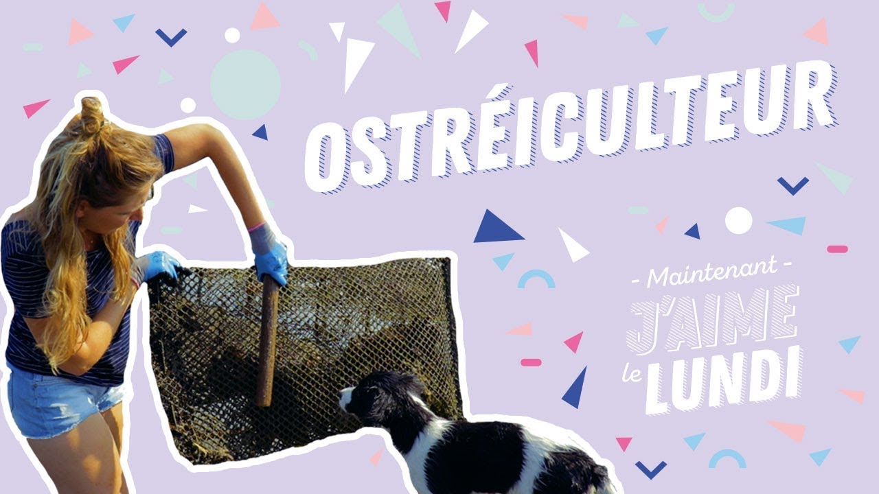 Ostréiculteur : tout sur l’ostréiculture, la vie d’une huître, les formations, le salaire