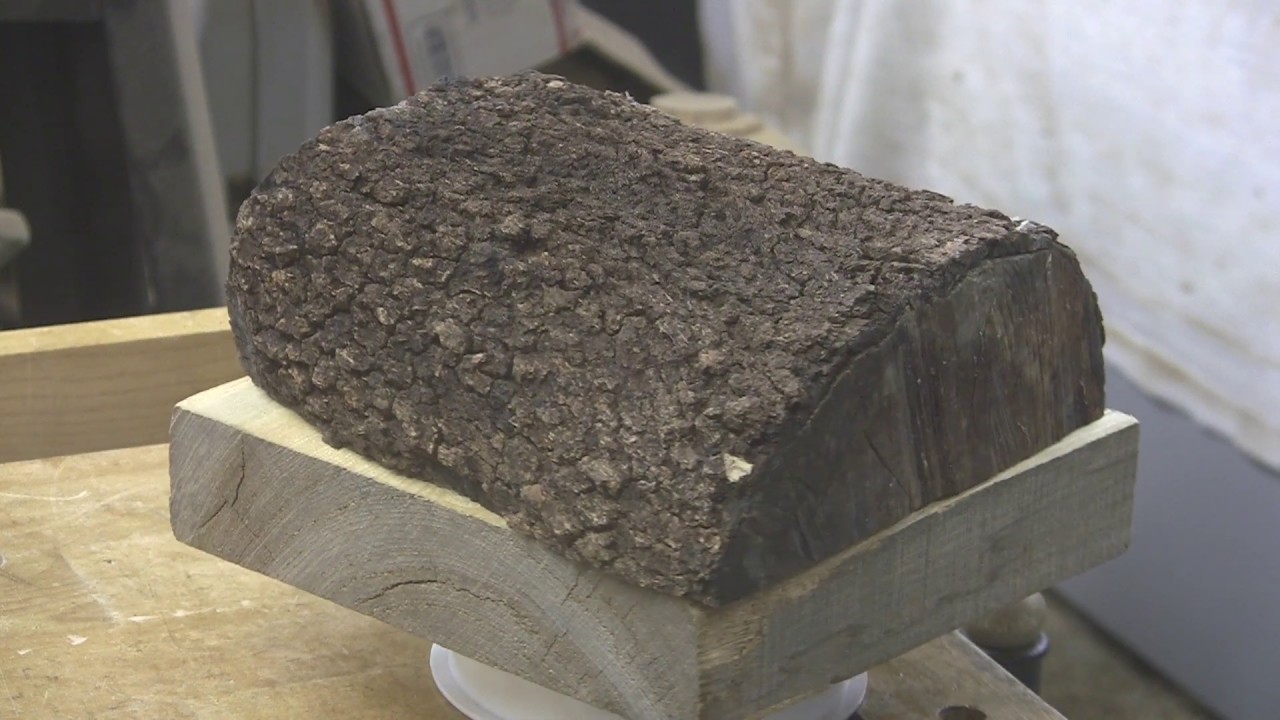 Poisonous?  Gee, Thanks A Lot, Tuffy!!! - Wood Turning