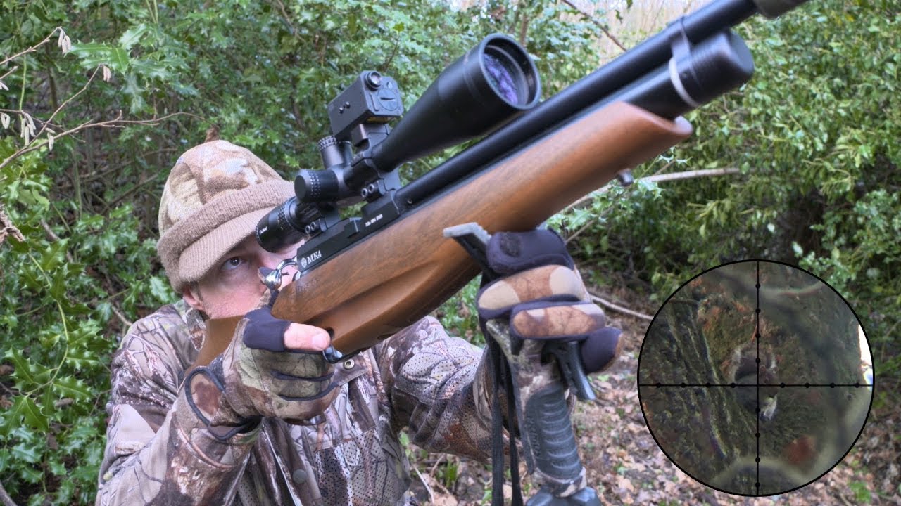 The Airgun Show - Hunting squirrels & pigeon in winter woodland, PLUS PAO Emerald GBTR scope on test