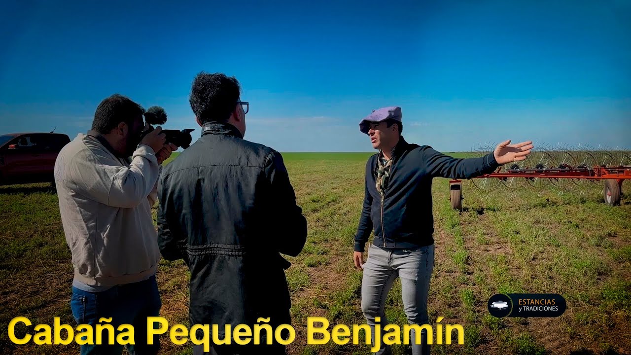 291 Cabaña Pequeño Benjamín, Raza Limangus (San Luis) - Estancias y Tradiciones