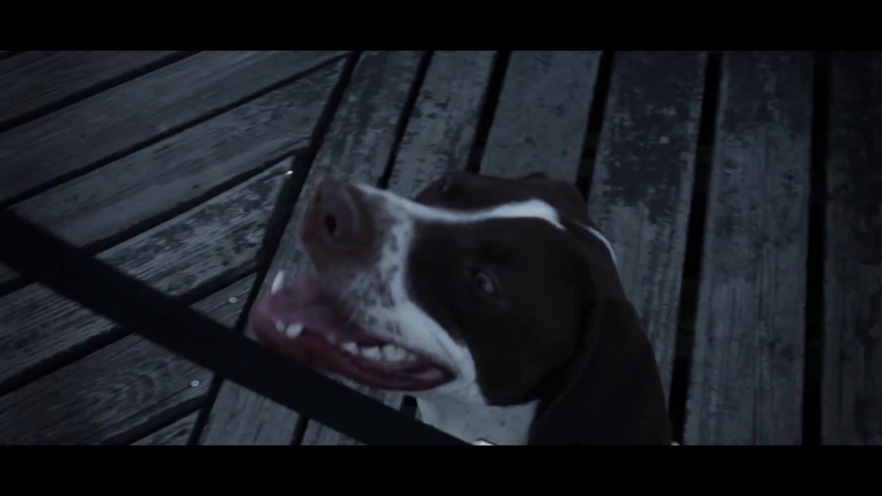 William J Higgins - 9 Days (Official Music Video)