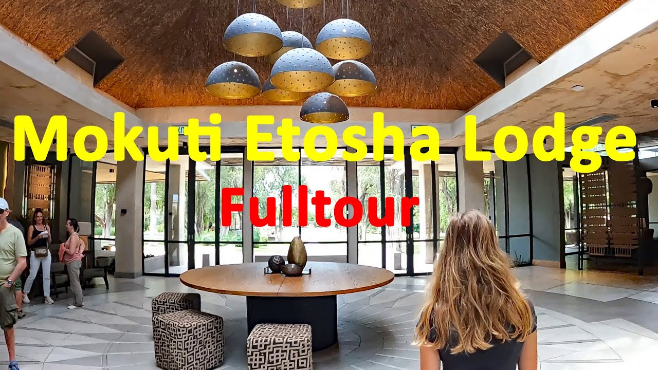 Von Windhoek zur Mokuti Etosha Lodge ⭐️ Ein epischer Roadtrip durch Namibia Vlog 2
