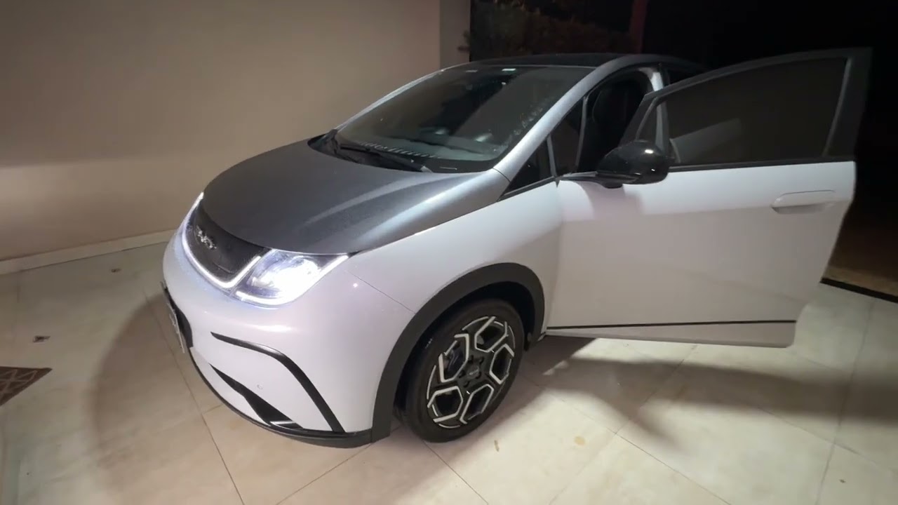 Curiosidades sobre o Byd Dolphin Plus #byddolphinplus #byd #byddolphin #carroelétrico