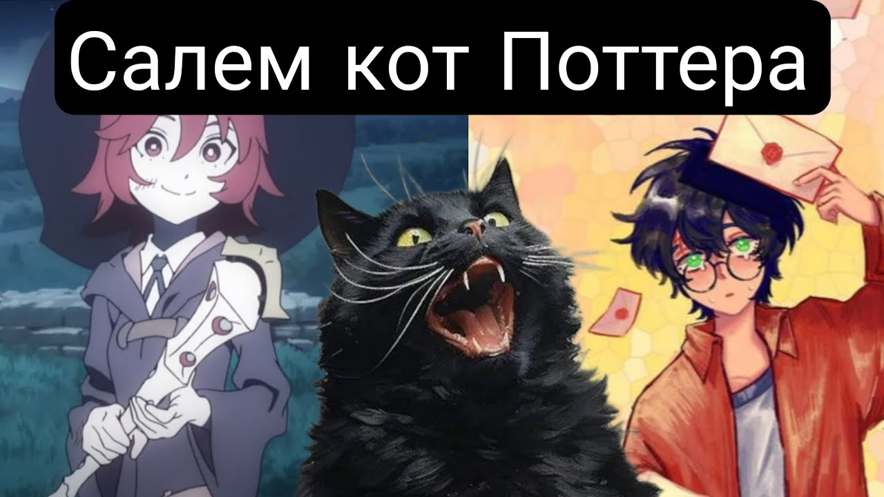 Салем кот Поттера(Главы 1-55) Альтернативный сюжет Гарри Поттерв