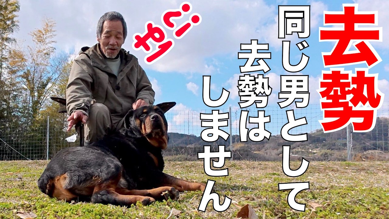 【犬の去勢】甘い考え方は生涯後悔するかも？
