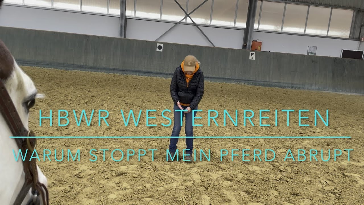 Warum stoppt mein Westernpferd abrupt?
