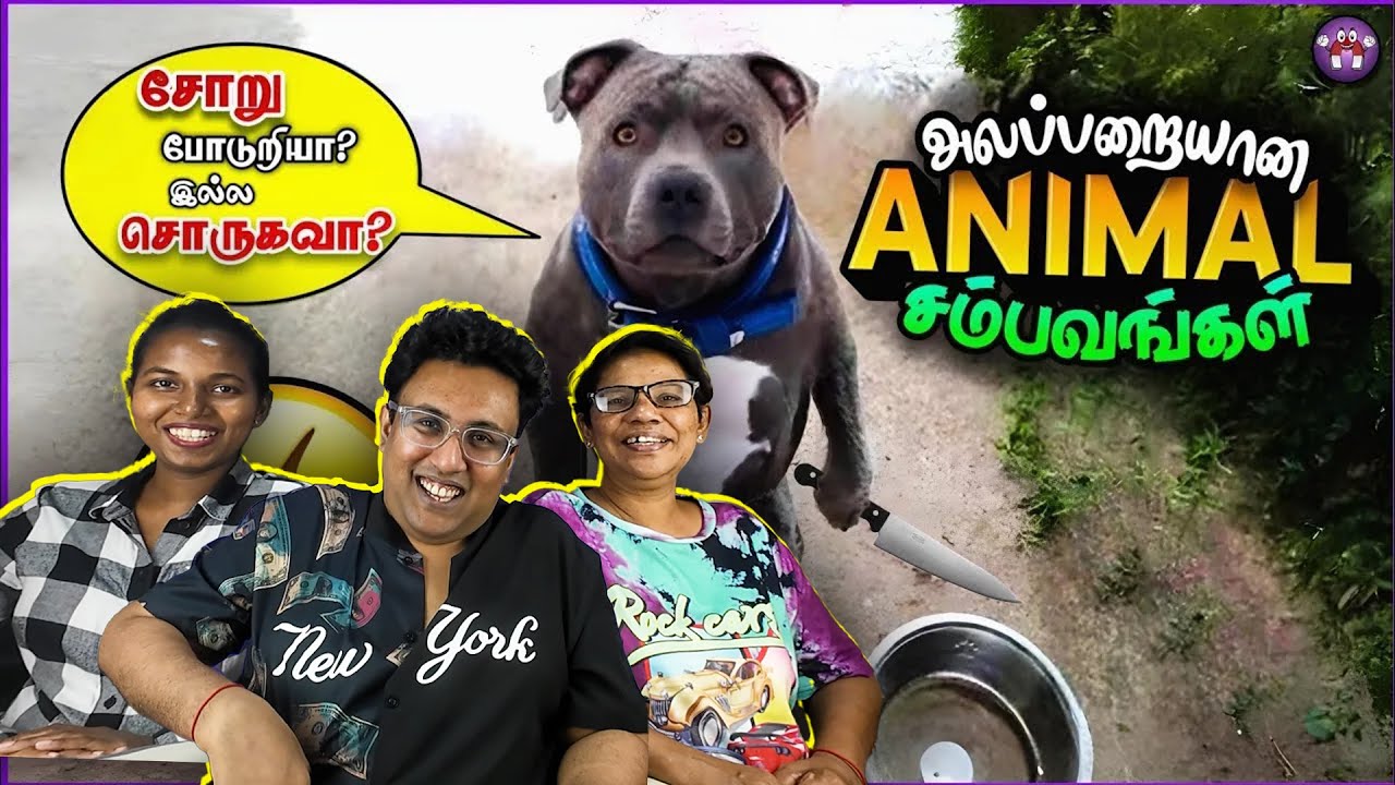 Funny ANIMALS Kiya Miya 😂 | Ramstk Family@themagnetfamily2.0