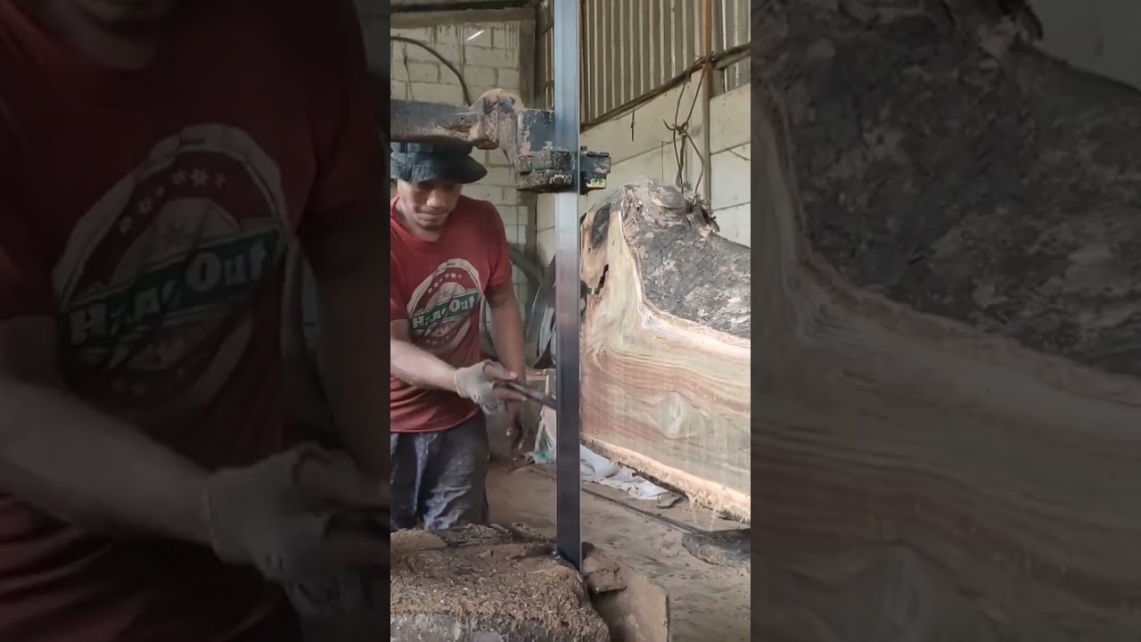 Teak wood jati perhutani 