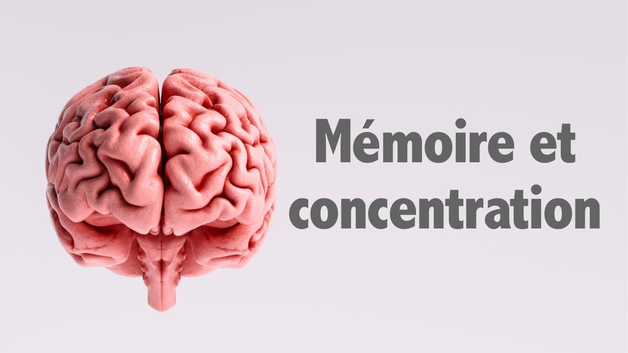 Mémoire et concentration: conseils pour stimuler ses fonctions cognitives