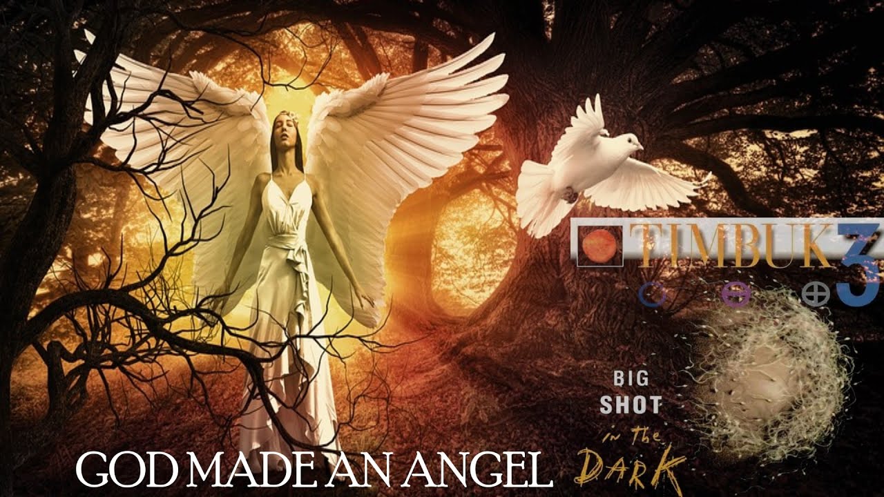 Timbuk 3 - God Made An Angel