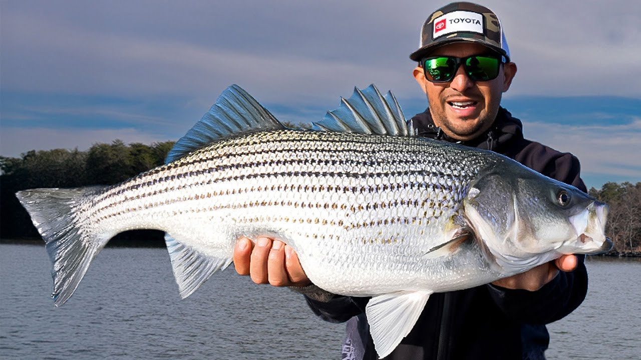 Peces Grandes En Lago Lanier | Recogiendo Mis Nuevos Kayak Native WaterCraft y Bonafide