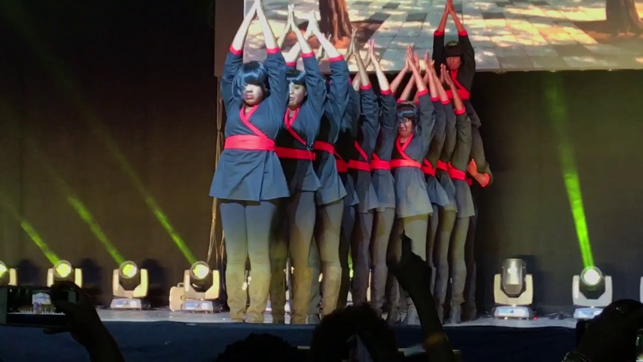 Alpha Chapter, Delta Sigma Theta Sorority, Inc. - Howard Homecoming Step Show 2017