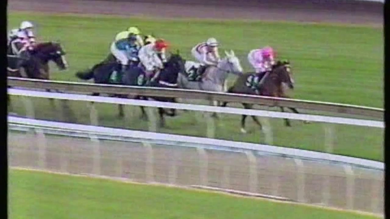 1995 George Ryder Stakes - Hareeba/March Hare