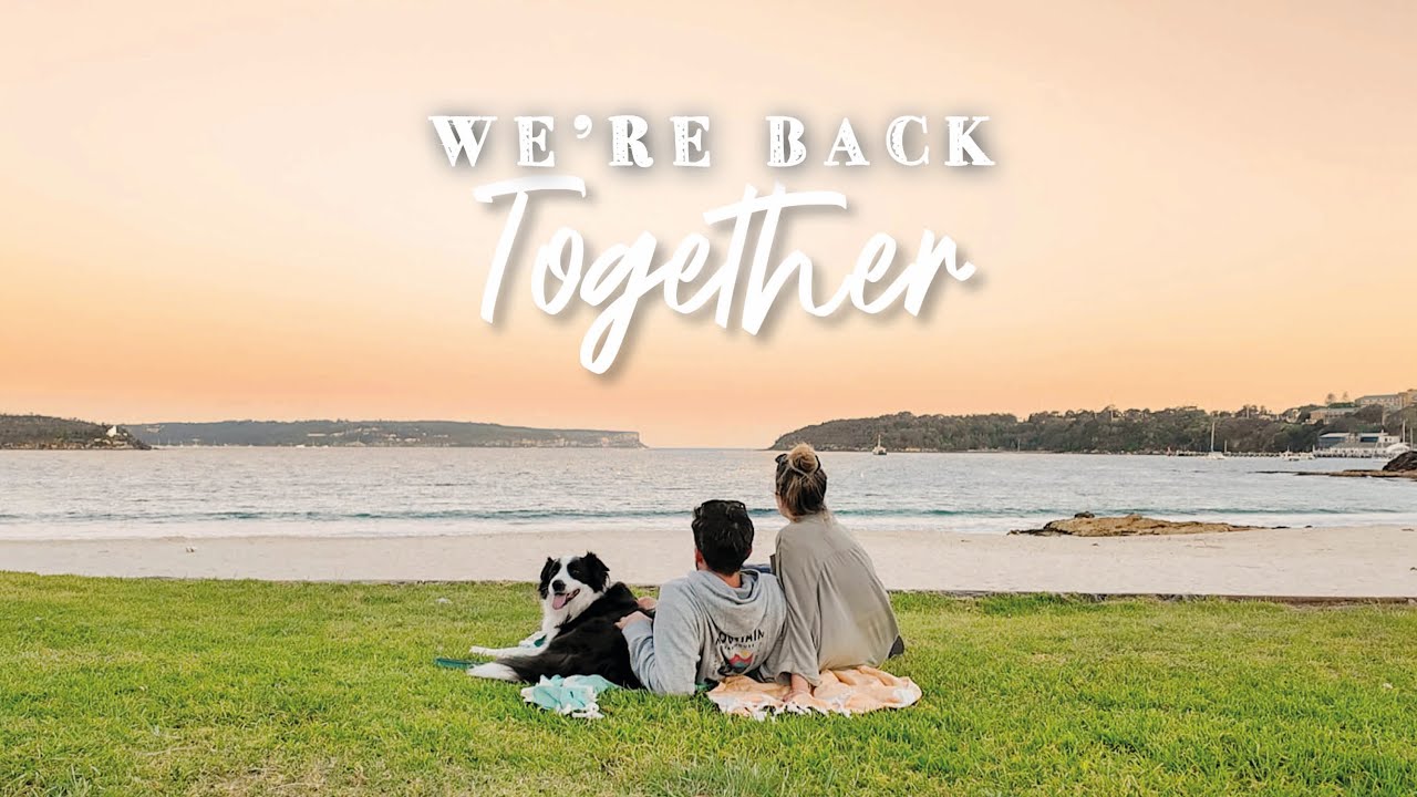Bringing Our Dog to Sydney! All The Way From The UK 🐾