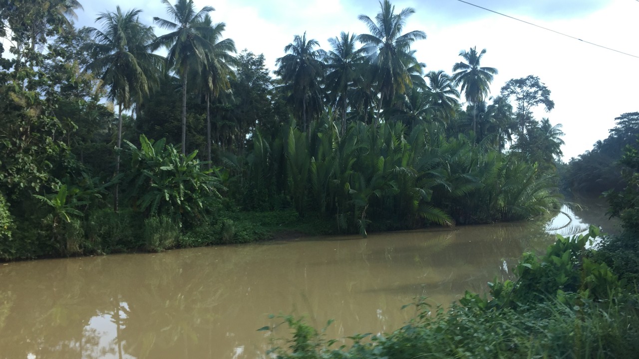 ASIA part II. Indonesia (Java), Cambodia.