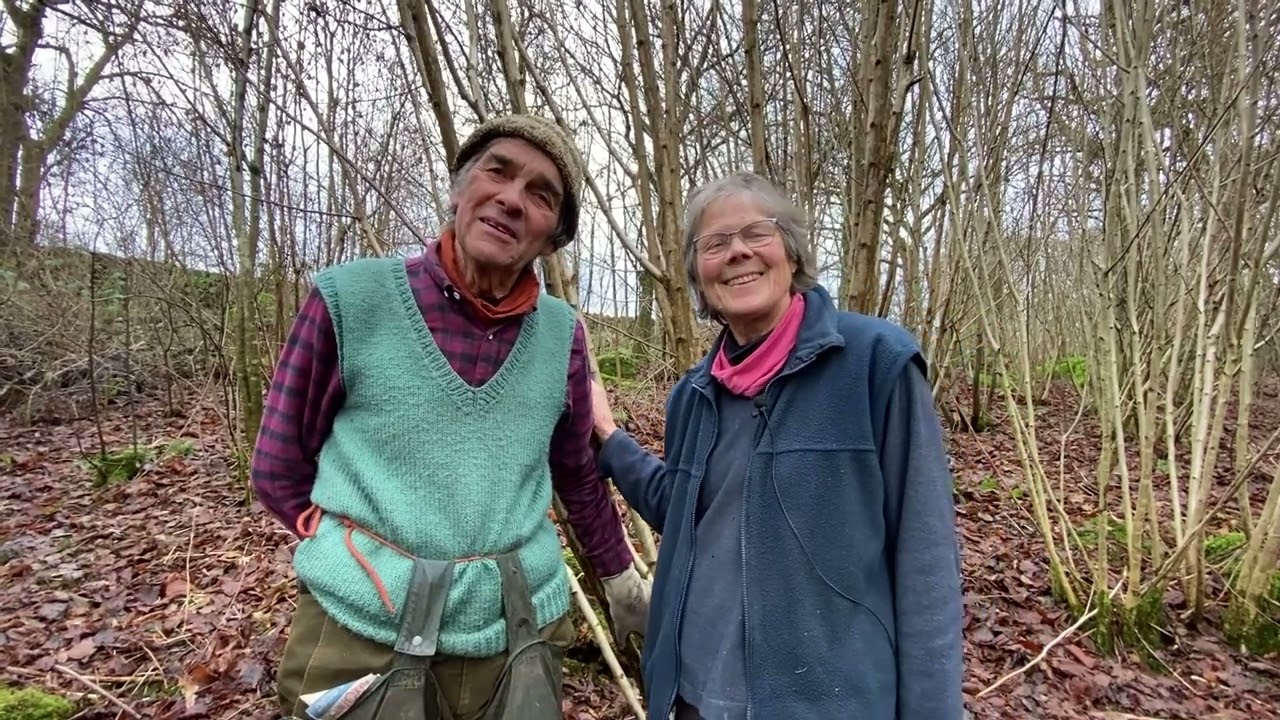 Postcard video March 2025 hedge laying and coppicing