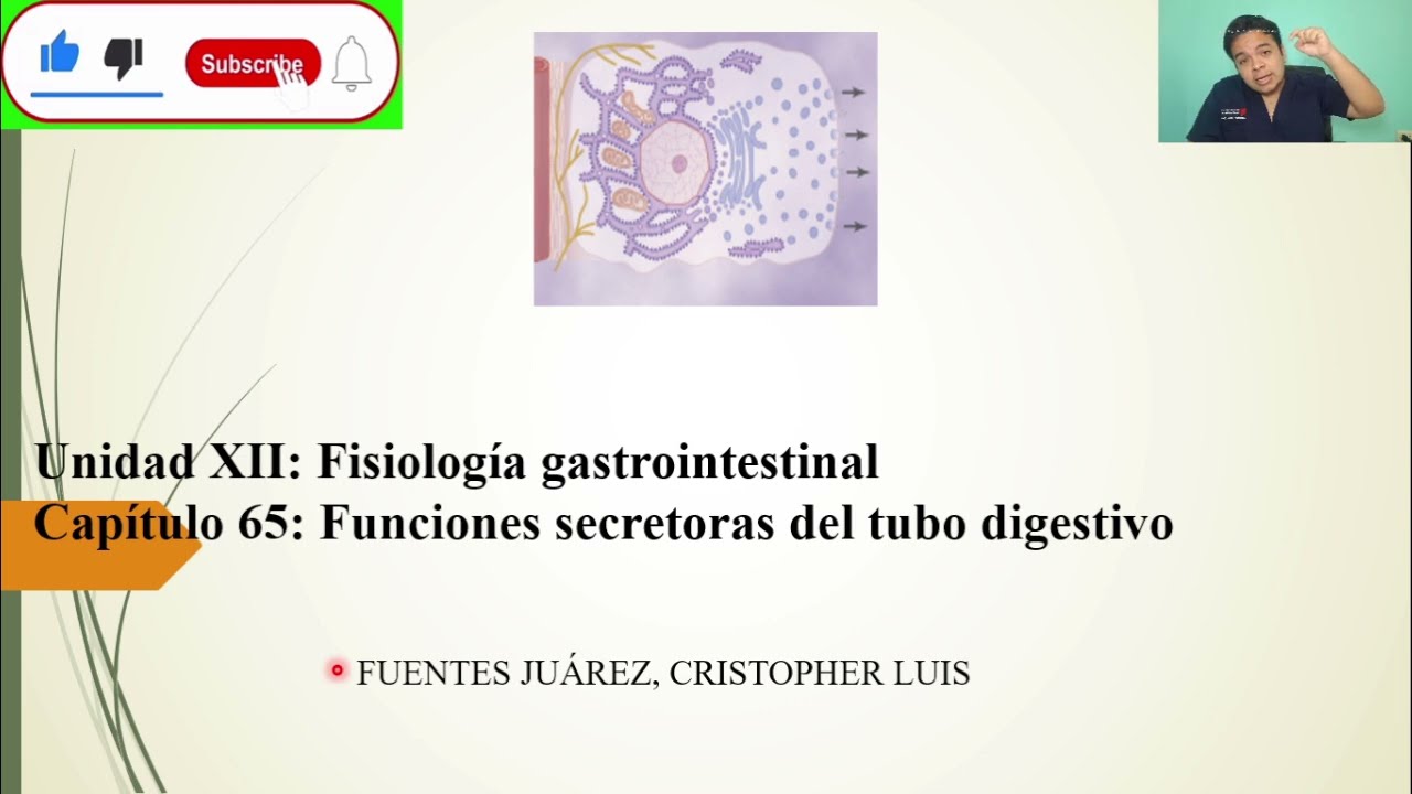 FISIOLOGÍA: FUNCIONES SECRETORAS DEL TUBO DIGESTIVO