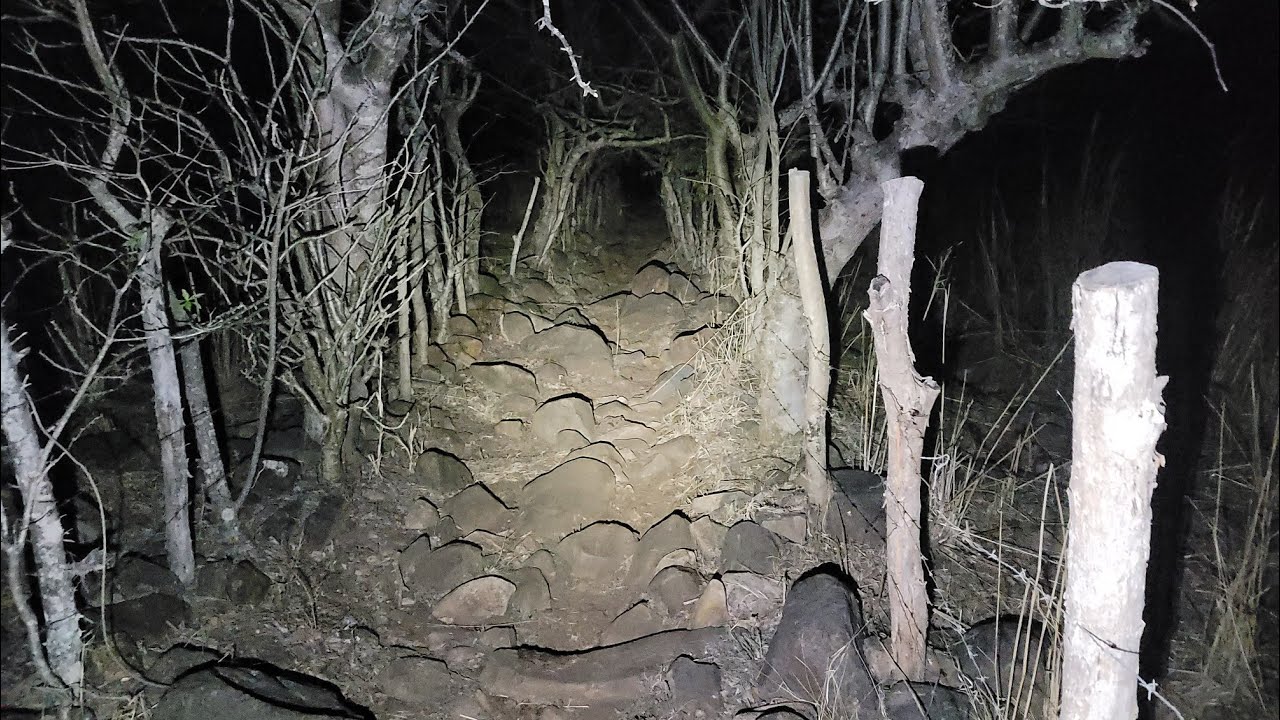 A la edad de 14 años Justo en este Lugar se me apareció El Cadejo🐺🐺🐺🐺👻👻👻👻👻
