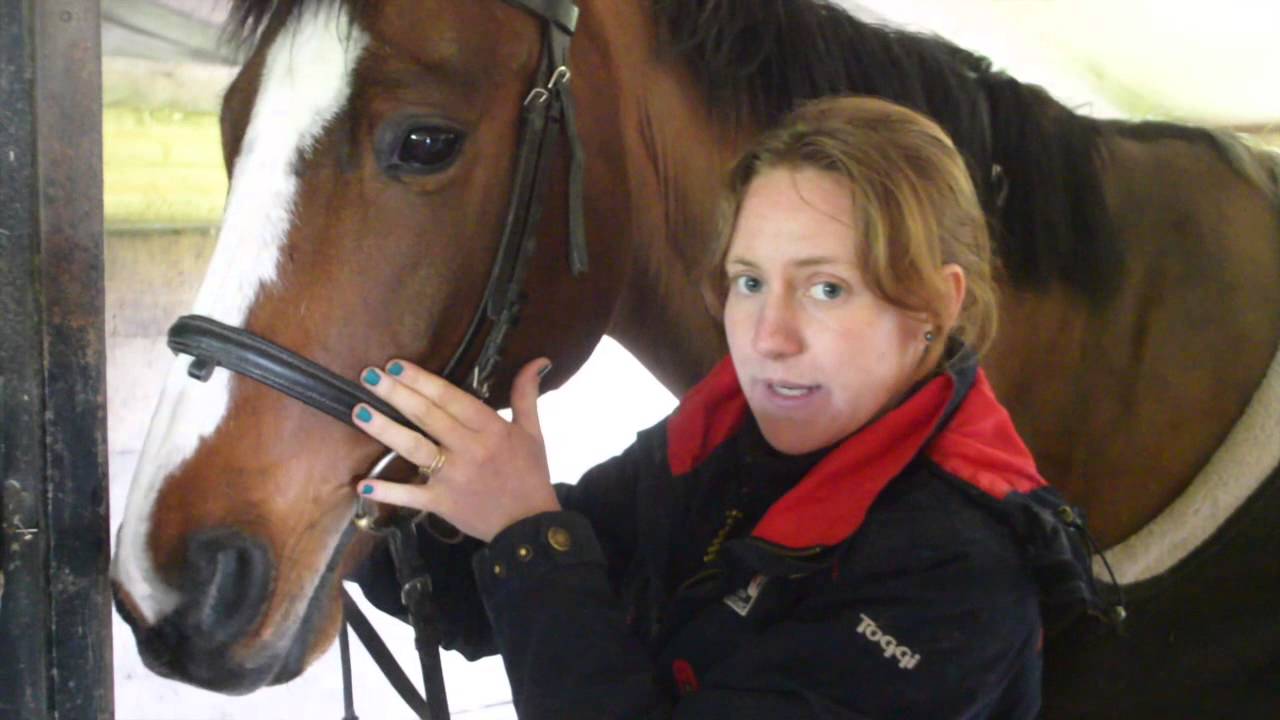 HOW TO- Fit A Cavesson Bridle | GG Eventing |