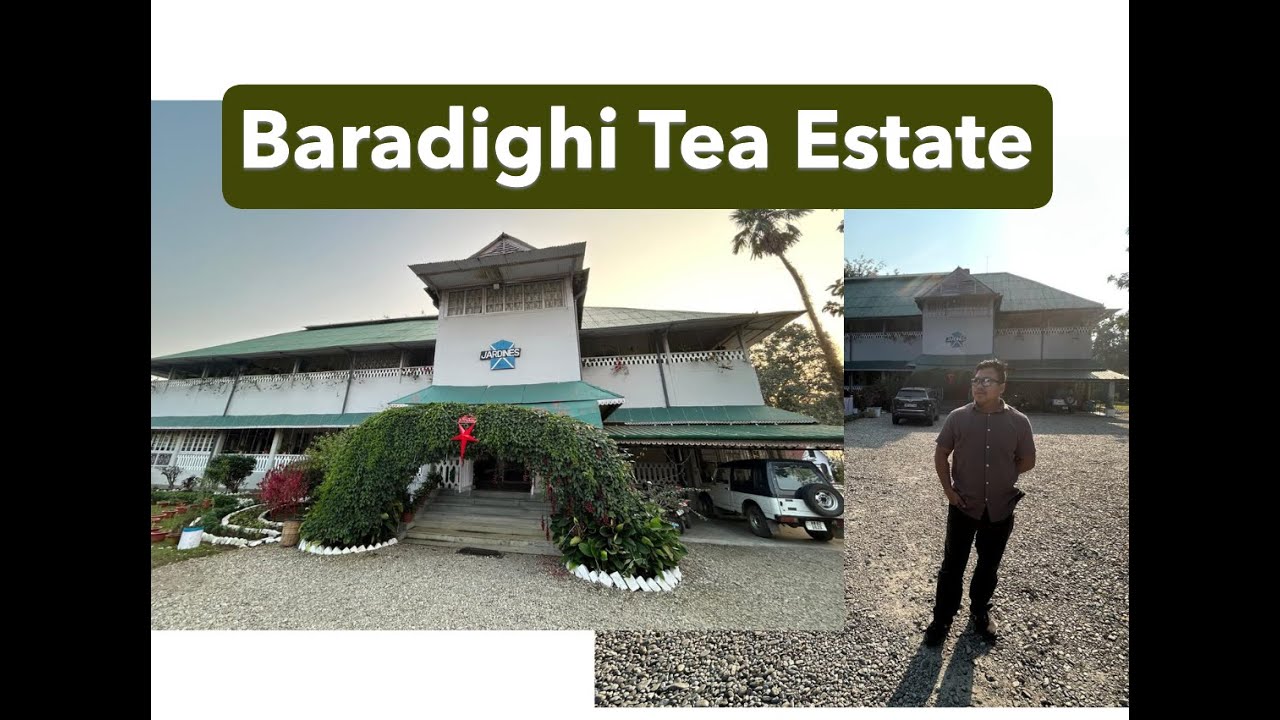 Baradighi a 600-acre British tea estate.