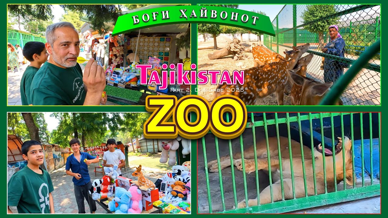 Ужас каруселей и редких животных! Дахшати хайвоноти нодир! Zoo Tajikistan Dushanbe Саид Саидов #zoo