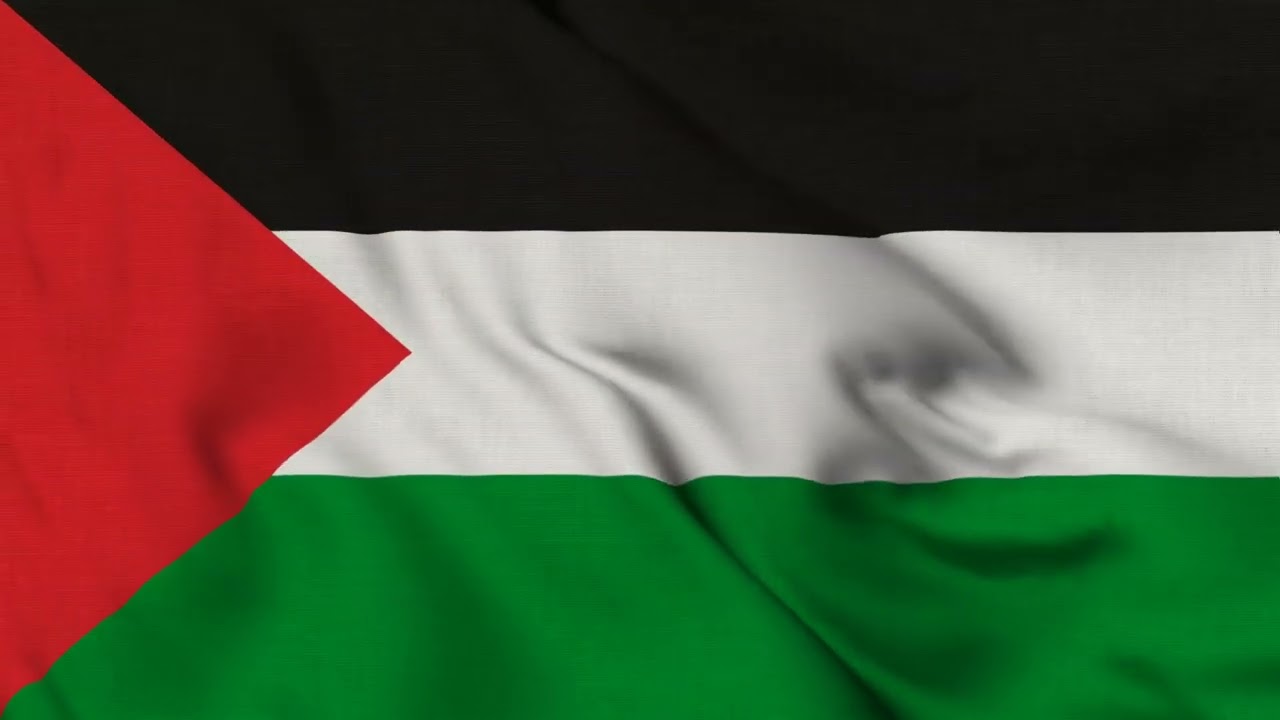Flag of Palestine screensaver loop / Palestinian flag 1 HOUR