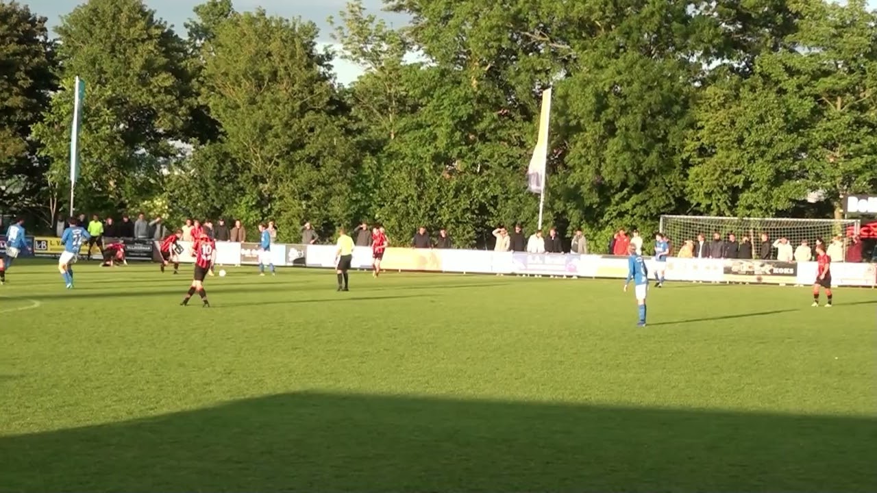 Vios W   SDC nc 0-0