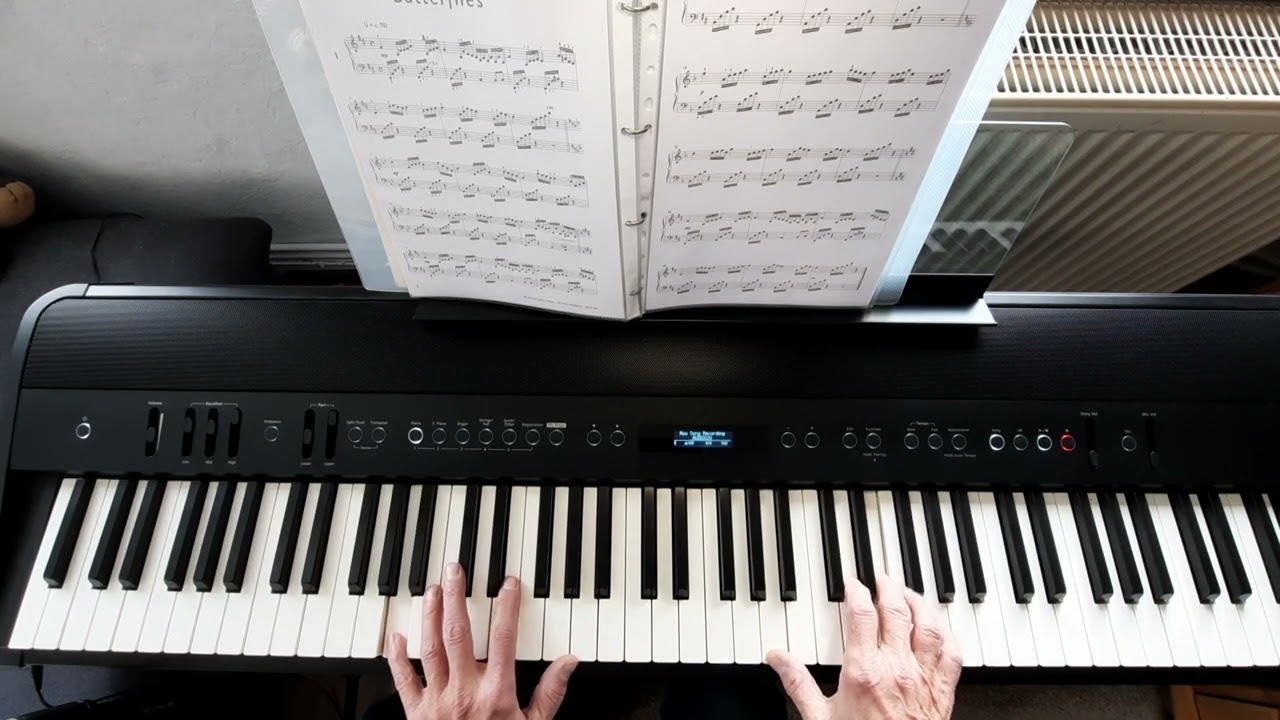 Butterflies Daniel Hellbach auf Roland FP-90X Direktaufnahme