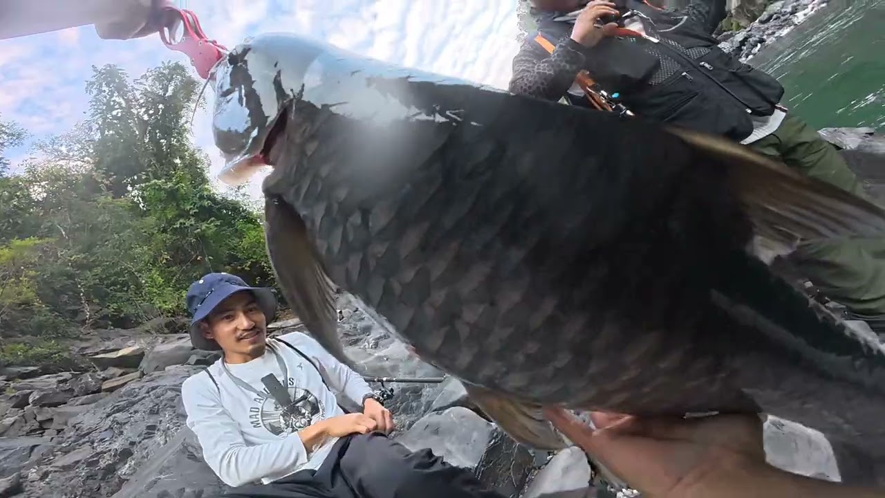 #arunachalpradesh #fishing #catchandrelease 