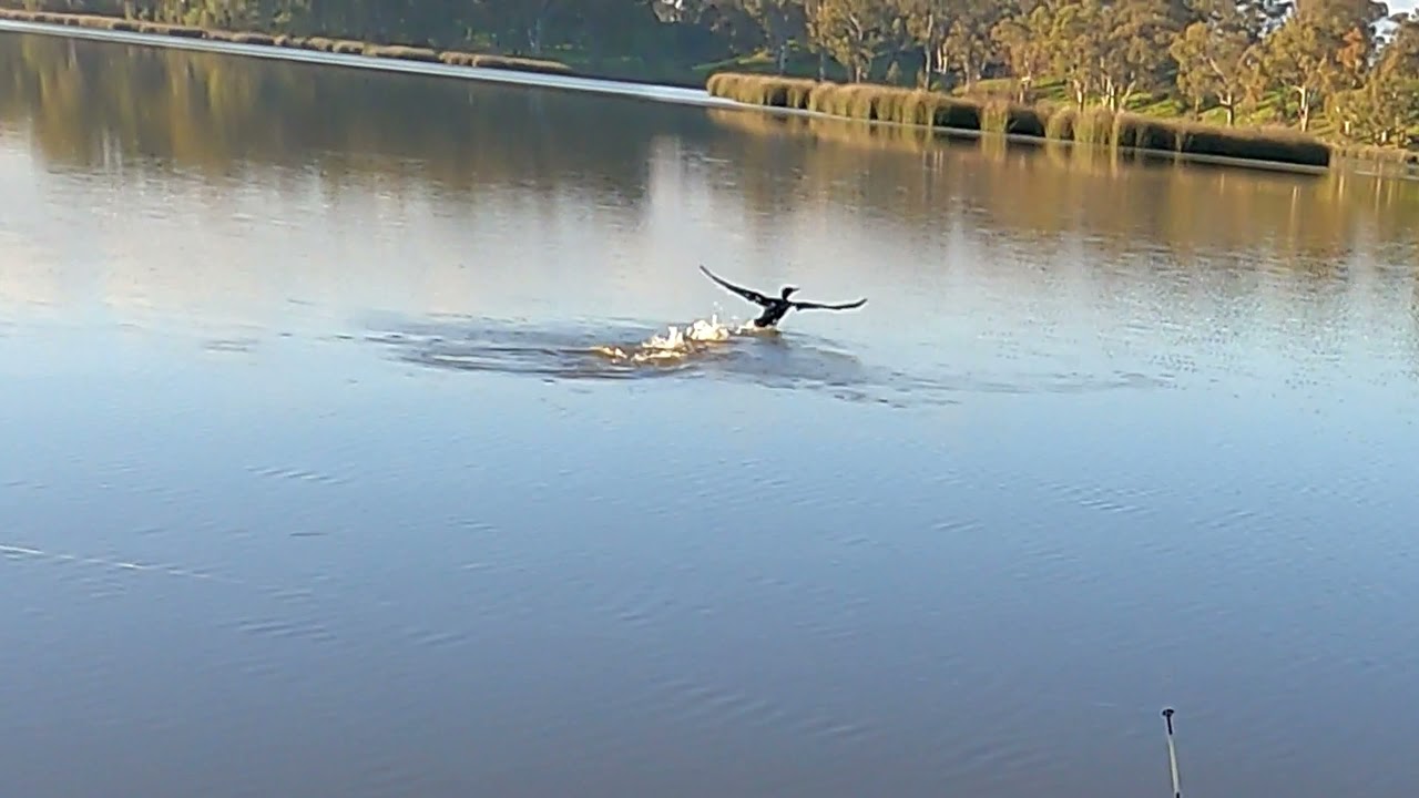 Fishing on the first day after lockdown part 2