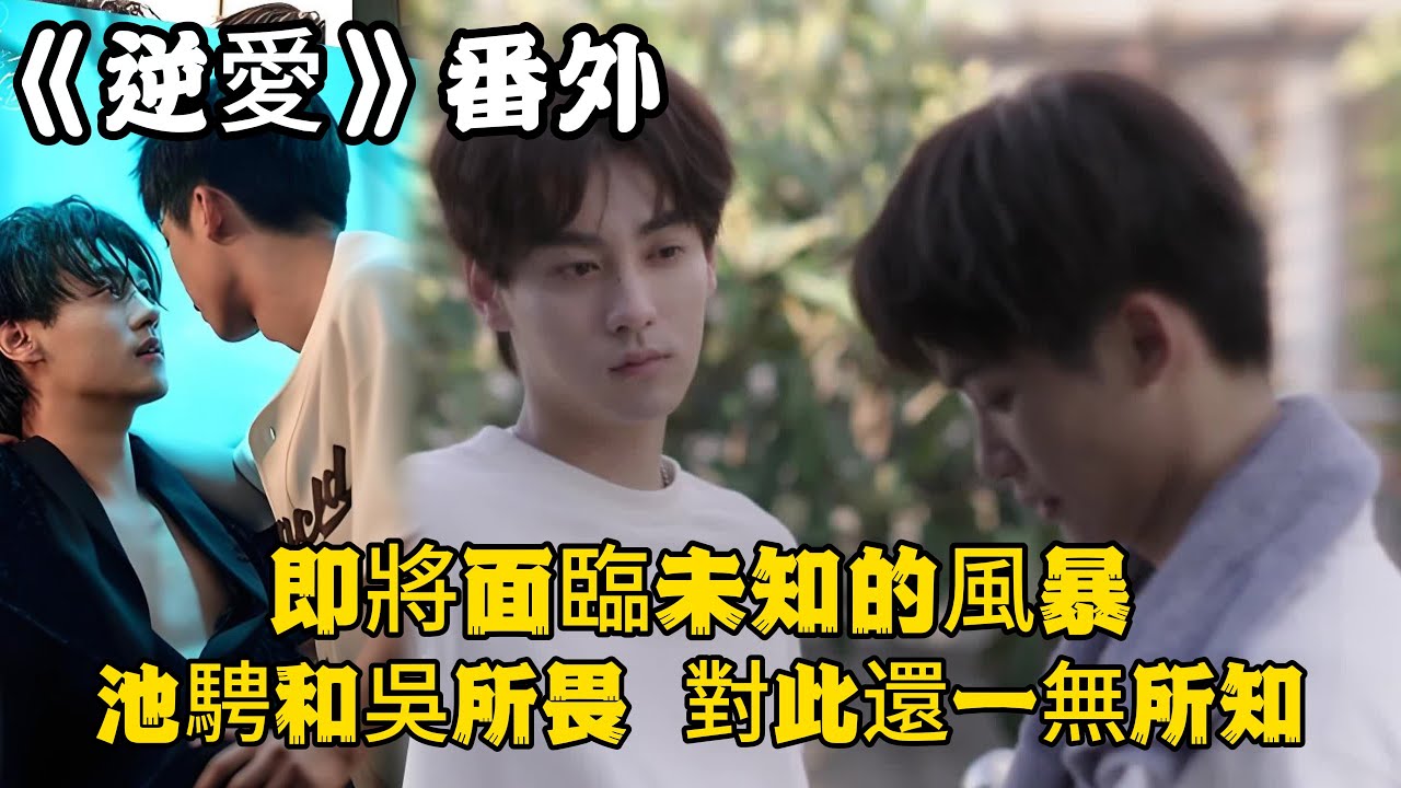 《逆愛》：番外！（五）即將面臨未知的風暴，剛剛因為一個默契的相視而心跳失序的池騁和吳所畏，對此還一無所知。#田栩宁 #梓渝 #吴所畏 #池骋 #逆爱 #revenged