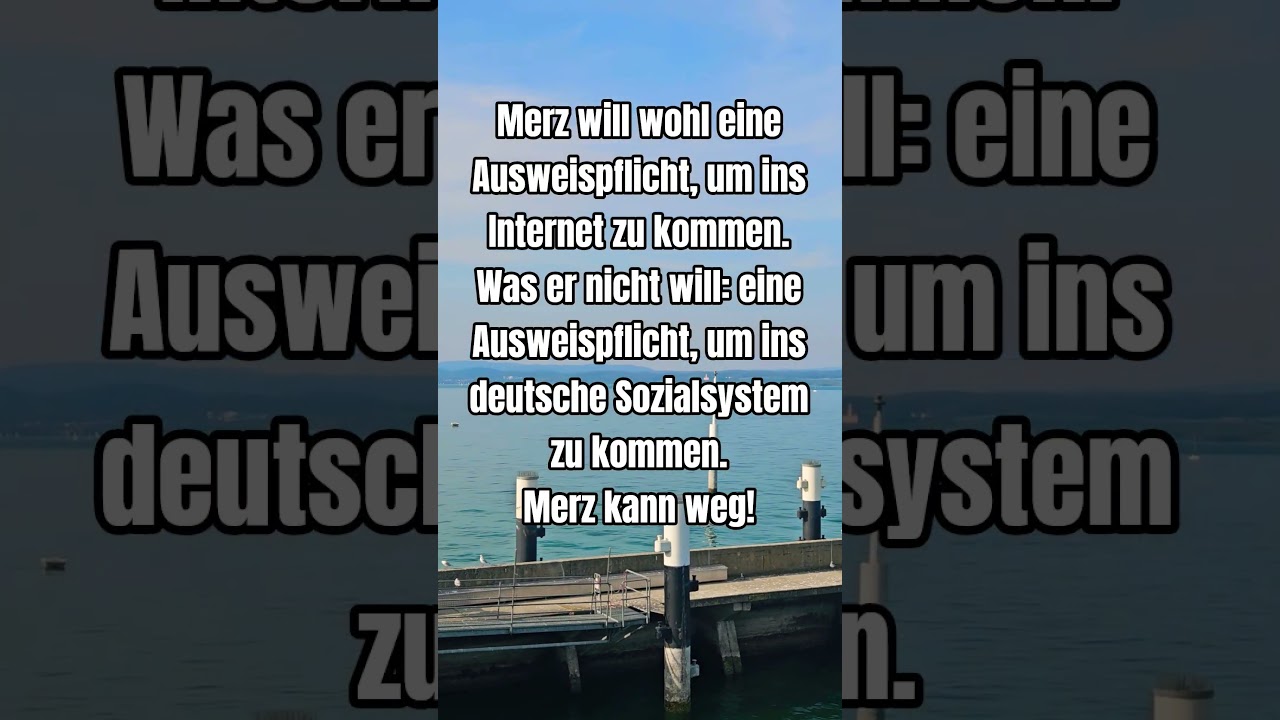 Merz muss weg #shorts #shortsfeed #shortvideo #afd #politik #deutsch #foryou #fyp