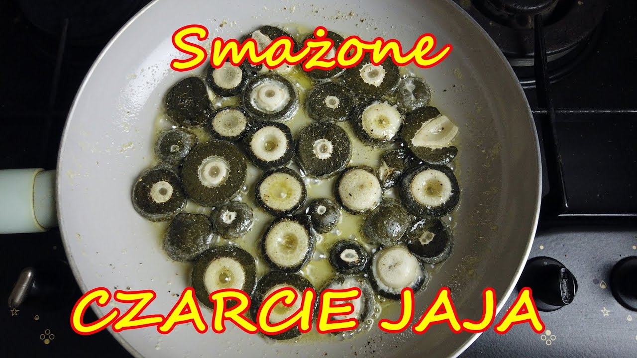 [ GRZYBY ] Smażone czarcie jaja ( sromotnik bezwstydny )