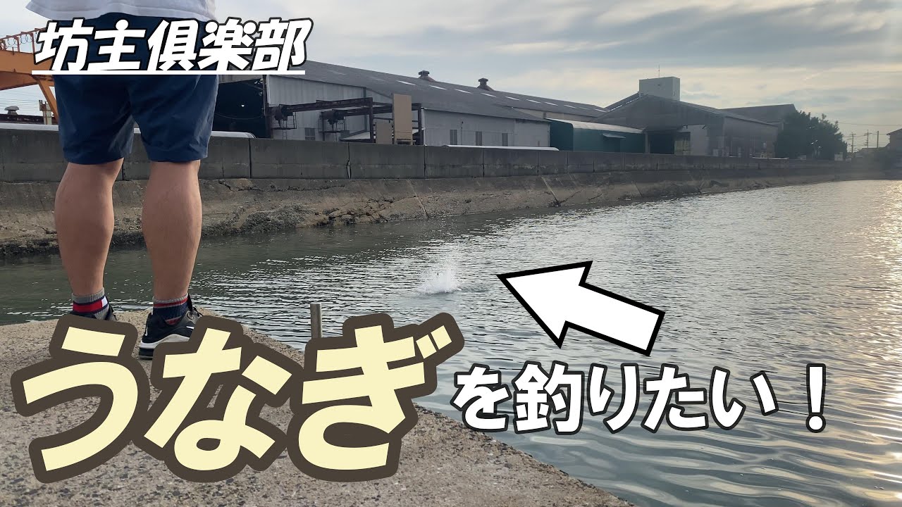 うなぎ実釣！　坊主俱楽部【BOZUCLUB】