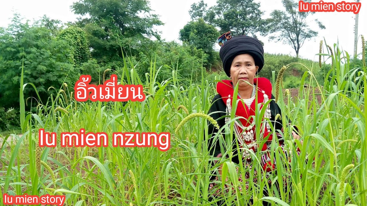 Iu mien song เพลงอิ้วเมี่ยน เพลงเย้า #iumien #mien #อิ้วเมี่ยน @Iu mien Story