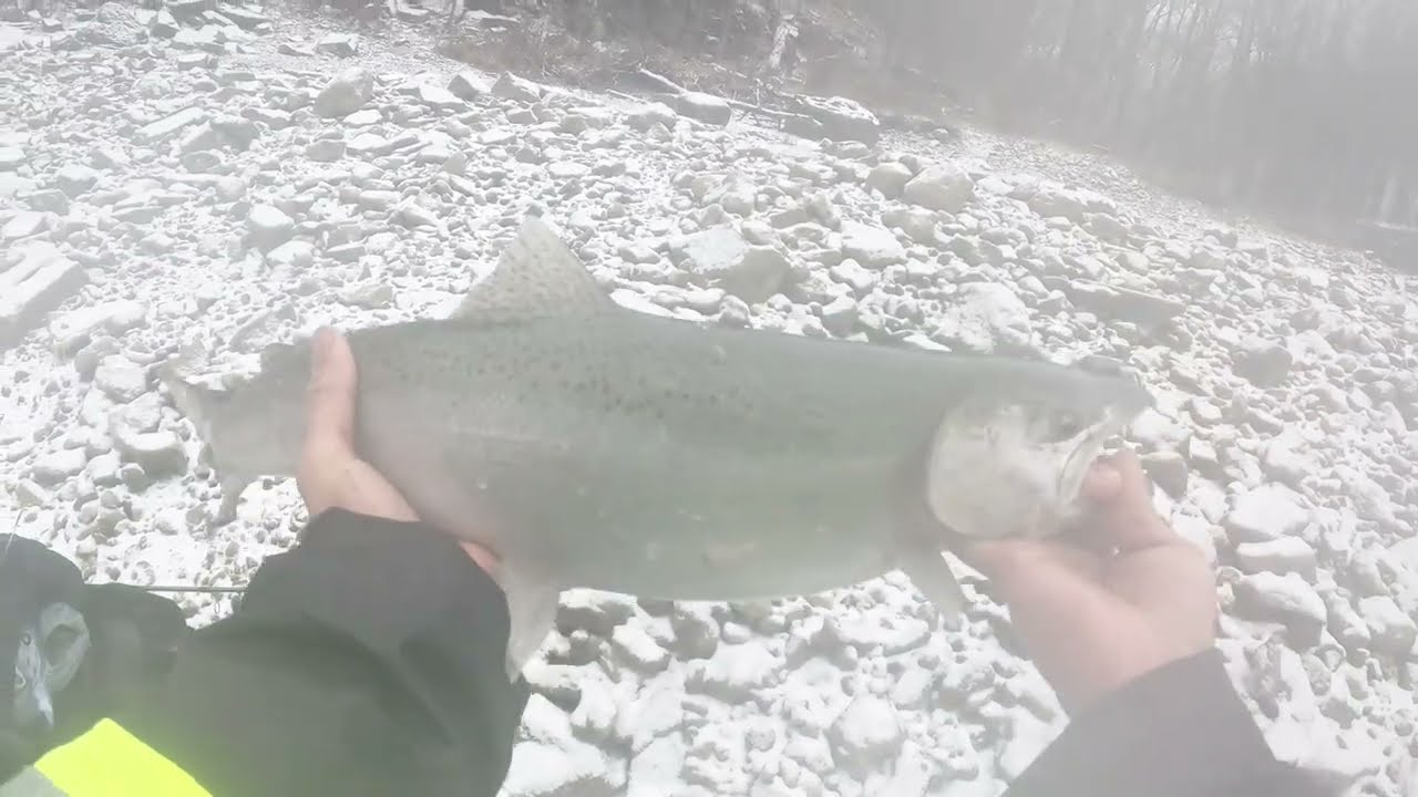 Рыбалка в водоворотах Ниагары: пойман лимит радужной форели!