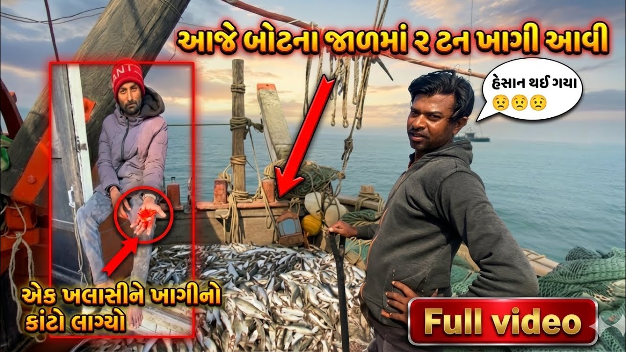 આજે તો જાળમાં ખાગી આવી ને સાઈટંડેલને ખાગીનો કાંટો લાગ્યો...😱😱😱