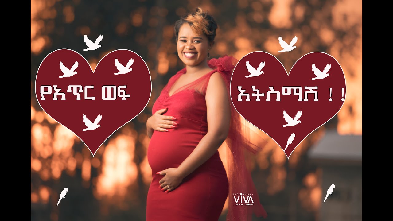የአጥር ወፍ አትስማሽ...